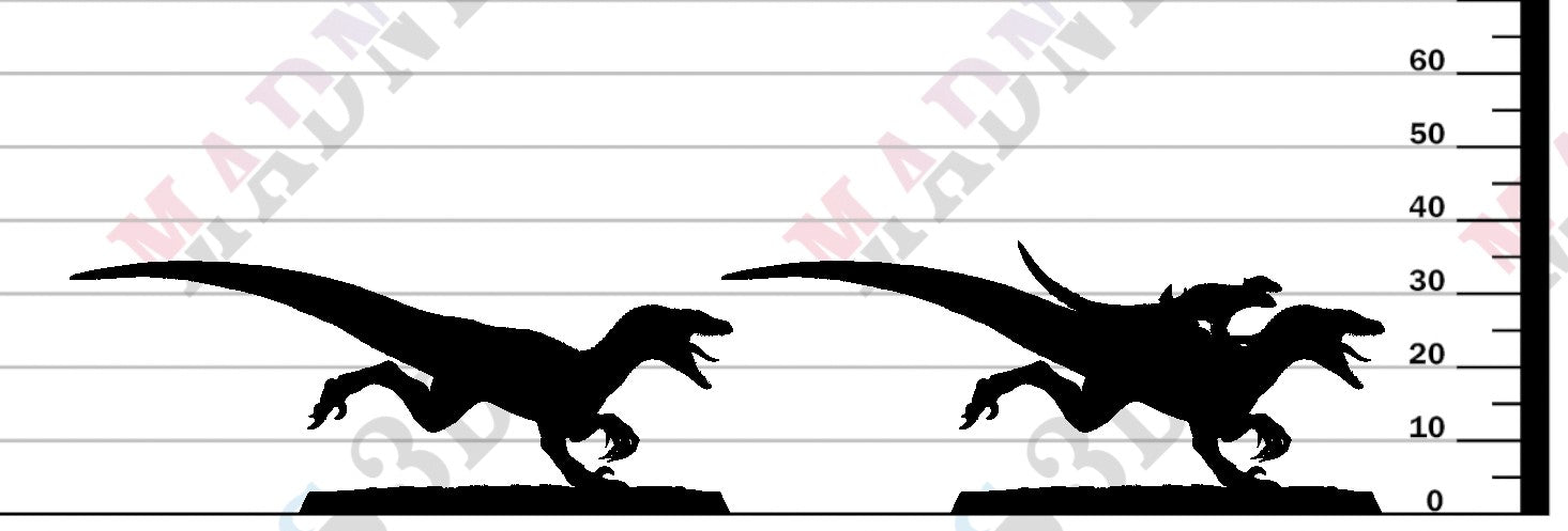 Velociraptor - Run B