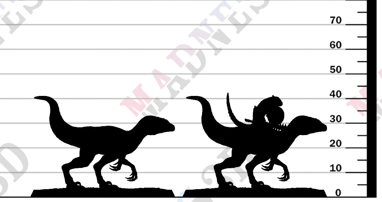 Velociraptor - Stand