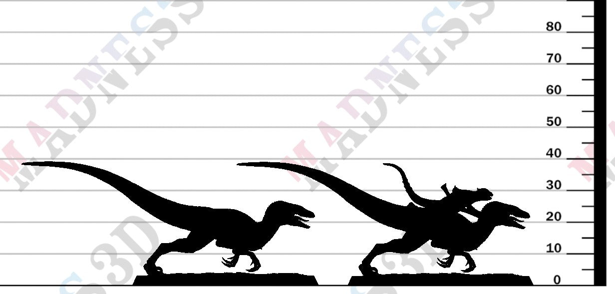 Velociraptor - Run A