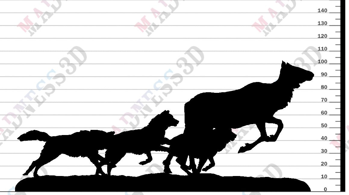 Grey Wolves - Hunting Elk Cow - 1-24