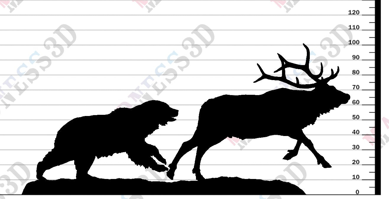 Grizzly - Hunting Elk - 1-24