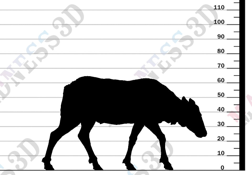 Rocky Mountain Elk - Cow Feed - 1:24