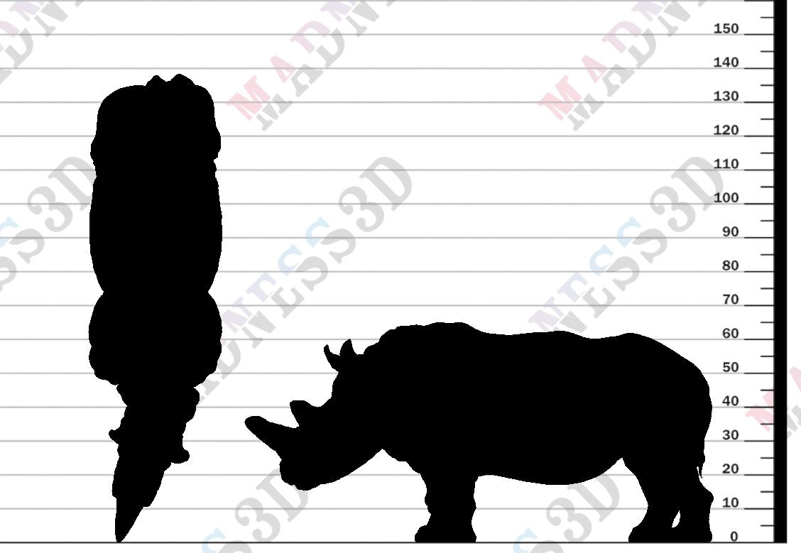 Northern White Rhino