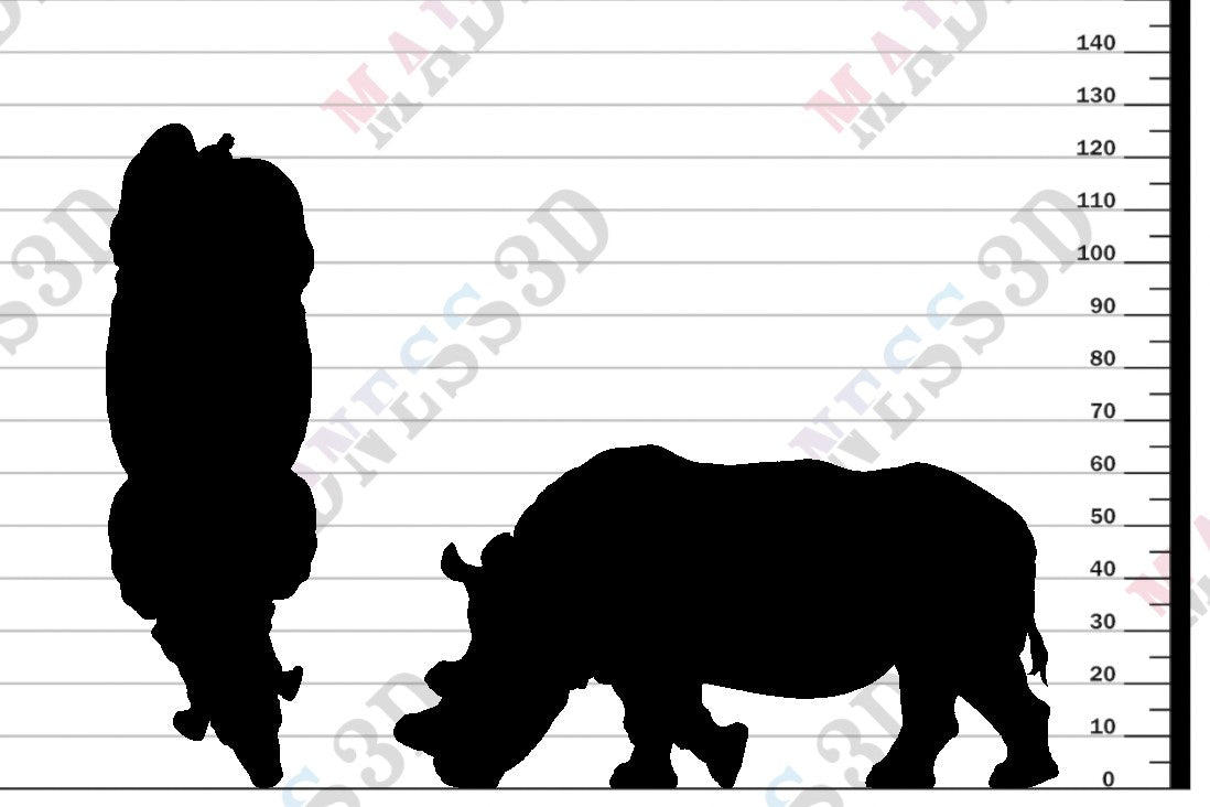 Northern White Rhino Feed