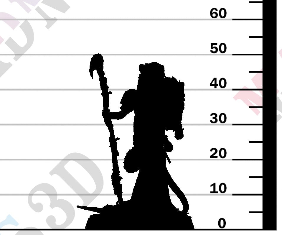 Etruscan Shrew - Look