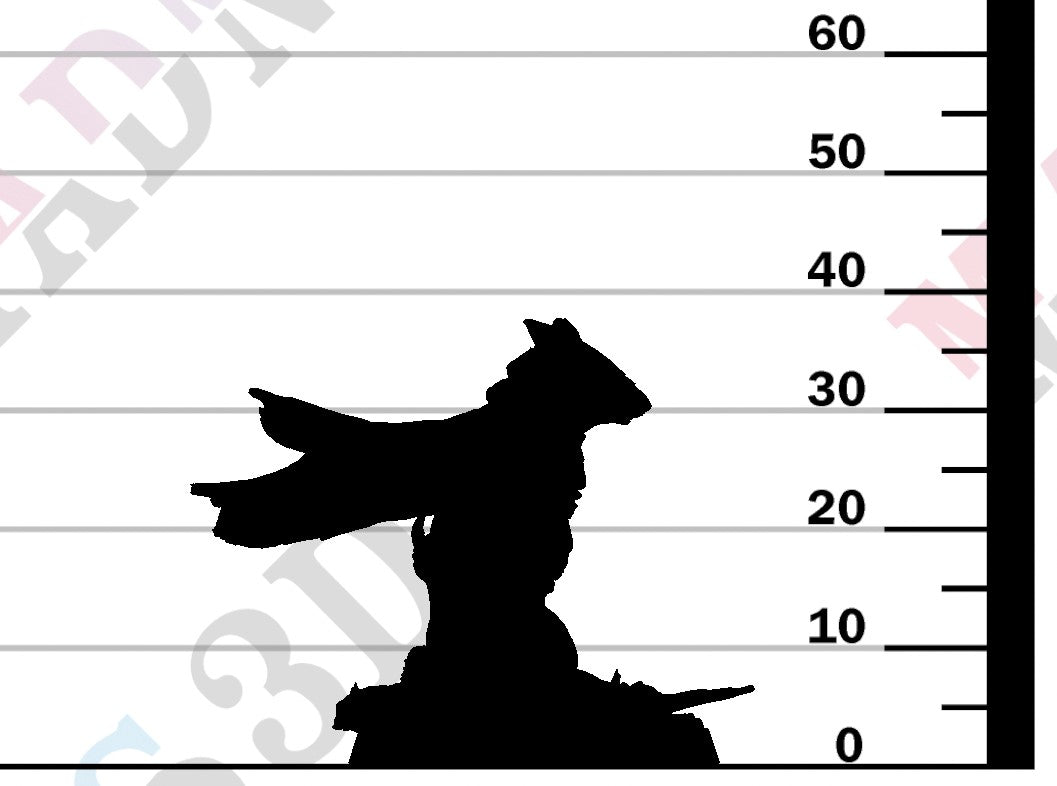 Garden Dormouse - Look