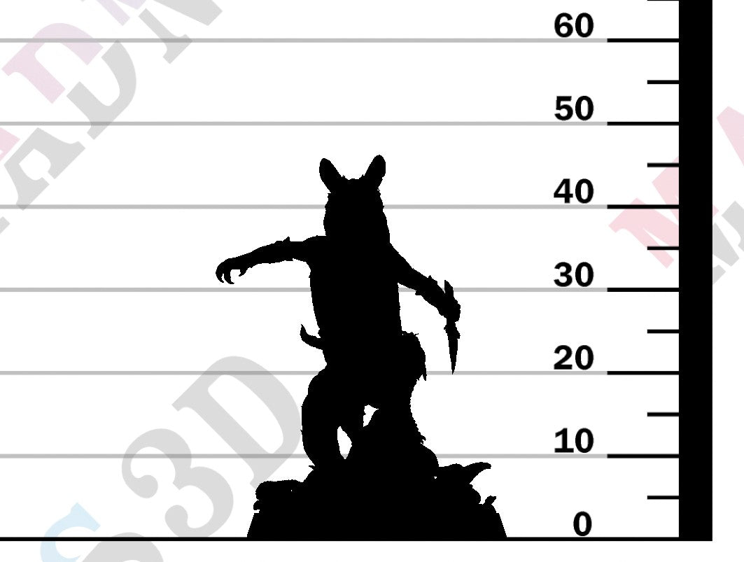 Garden Dormouse - Jump