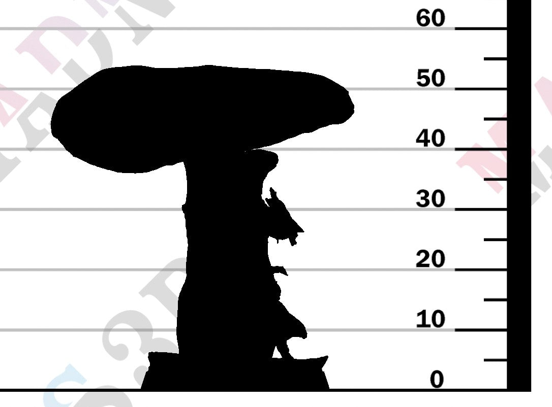 Mouse - Mushroom Hide B