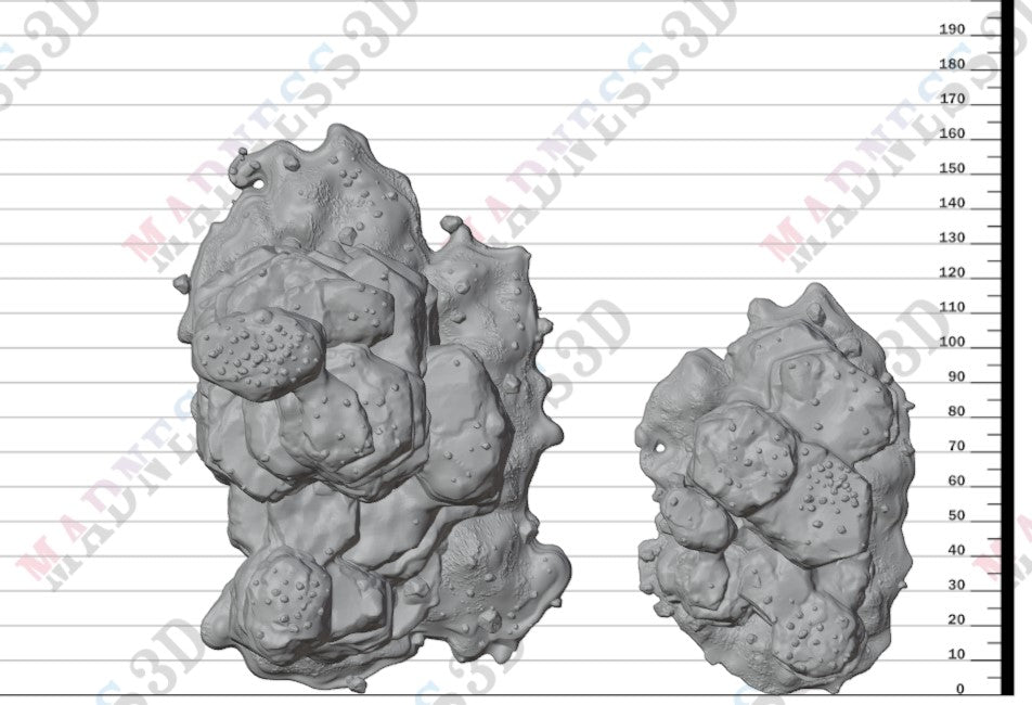 Shipwreck of the Damned Galleon