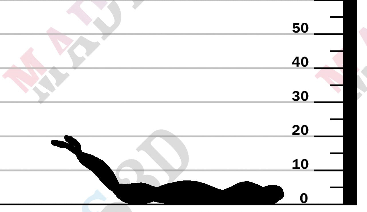 Black Mambas Mating 1:24