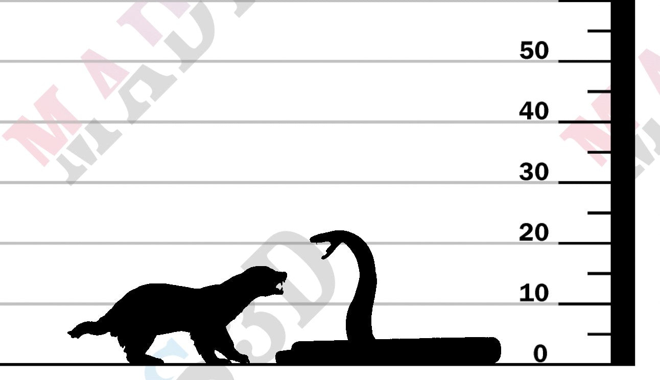 Honey Badger vs Black Mamba 1:24