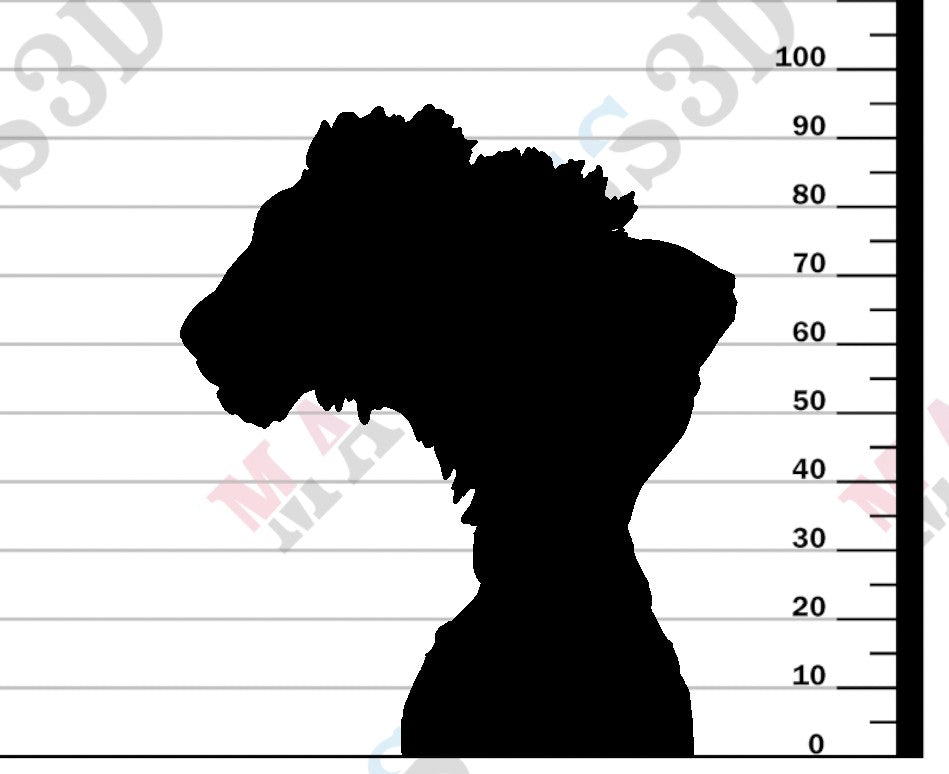 Lion Subadult - Bust - 1:8