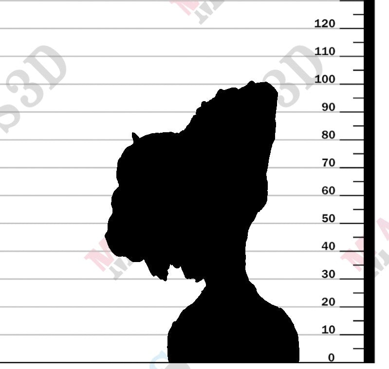 American Bison 1:16 - Bust