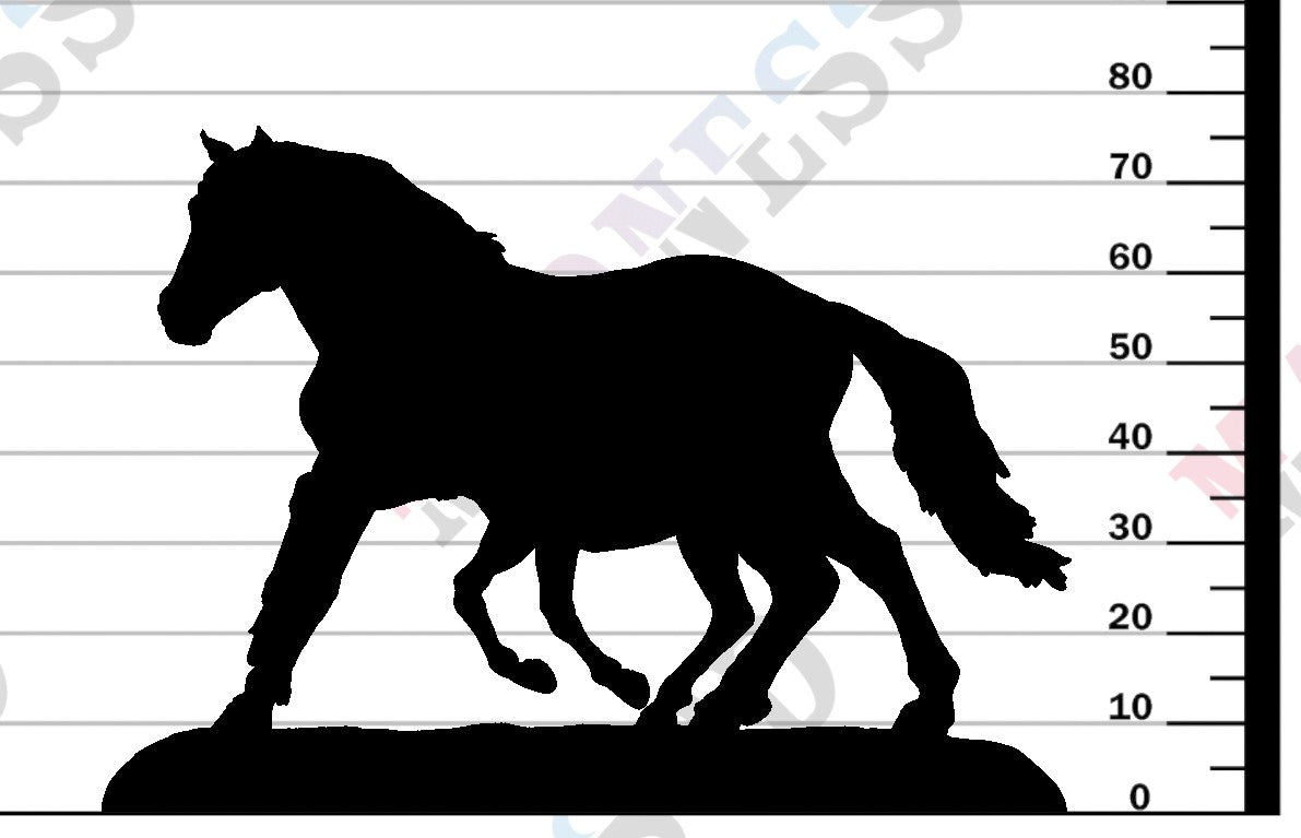 Mustang Female and Calf run 1:24