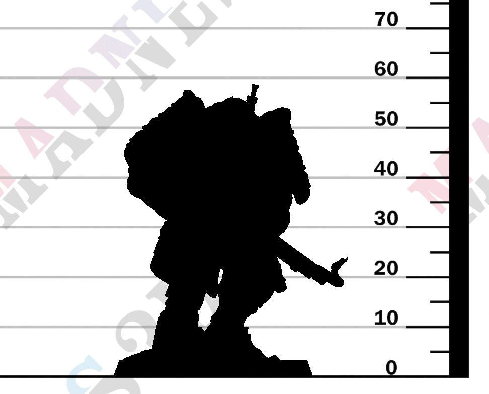 Heavy Infantry - Heavy Shotgun