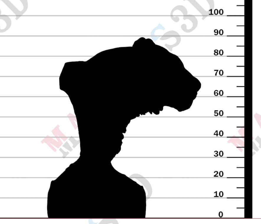 Sumatran Tiger Bust 1-8