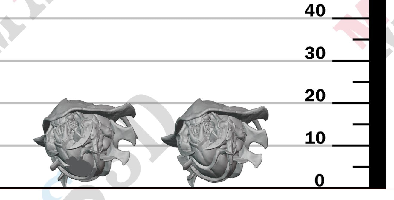 Zeek Burrowers - C