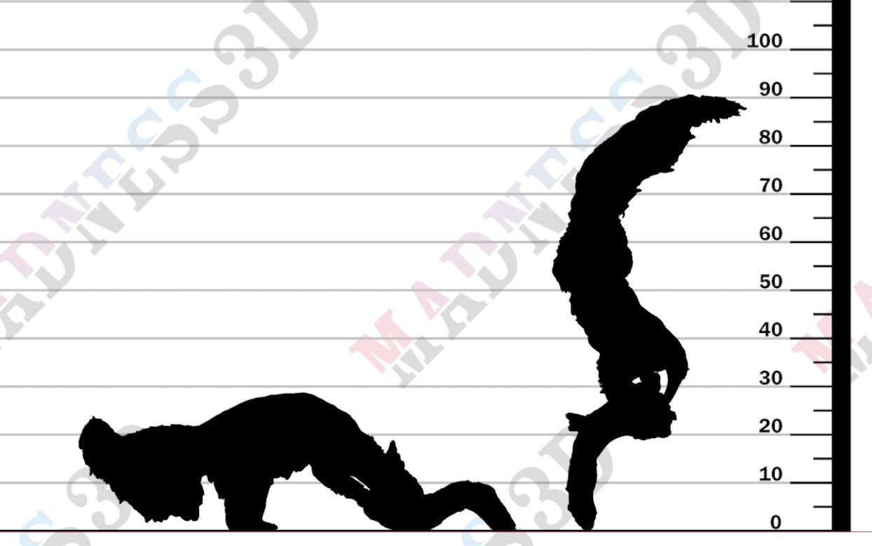 Giant Anteater - Eating - 1-24