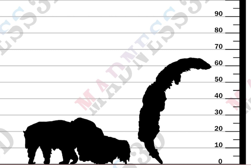 Giant Anteater - With Pup - 1-24