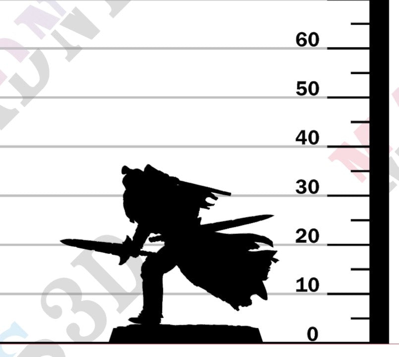 Silent Sentinel - Dual Sword Run