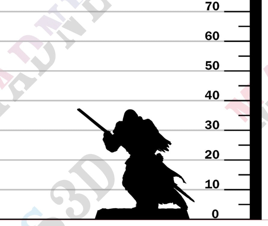 Silent Sentinel - Spear Guard