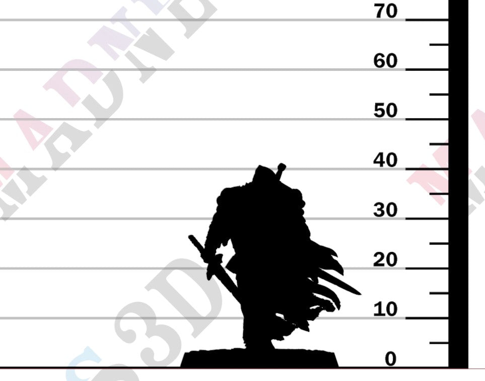 Silent Sentinel - Sword Walk