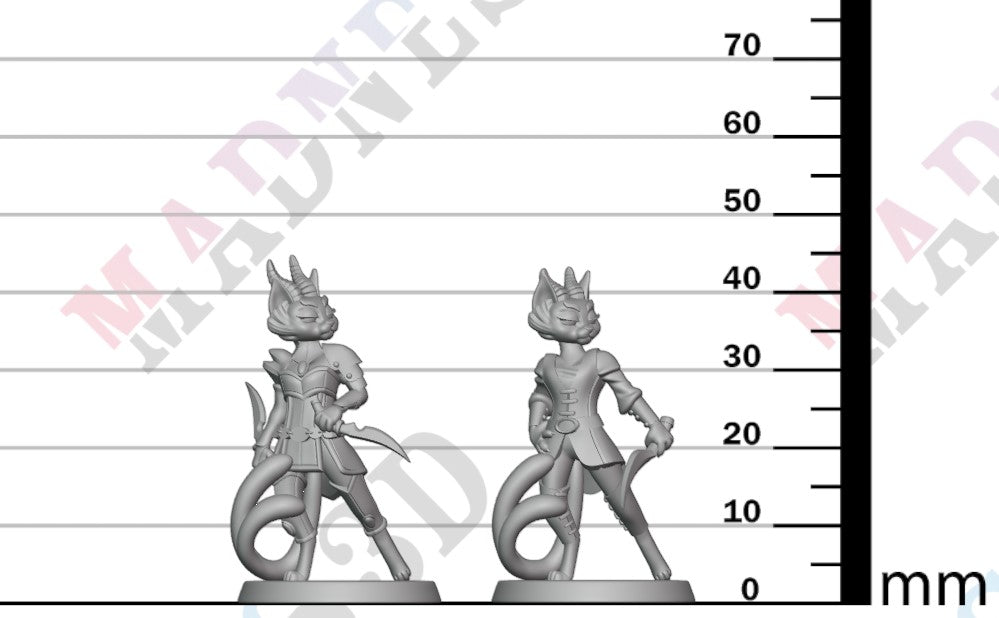 Rogue Tiefling - Type 1