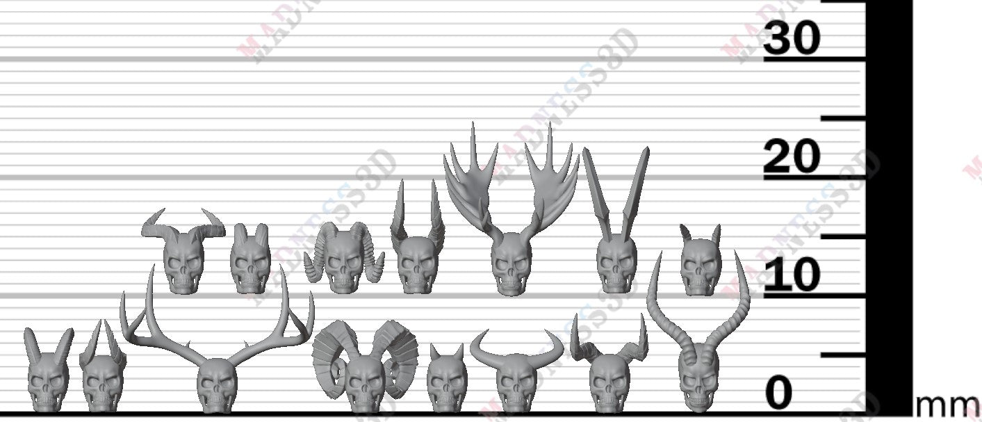 Skull with Horns