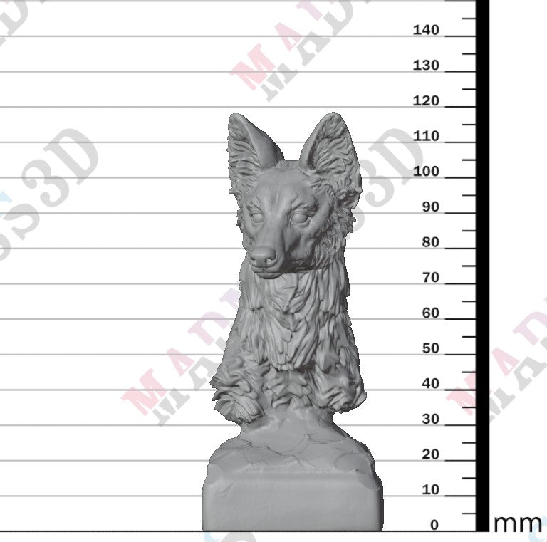 Maned Wolf 1:6 - Bust