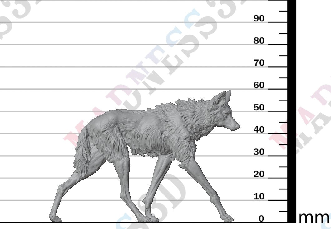 Maned Wolf Walk 1:16