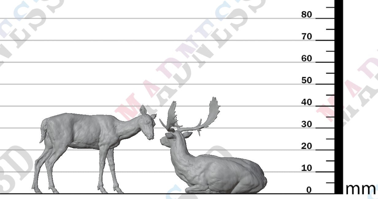European Fallow Deer and Doe 1:24