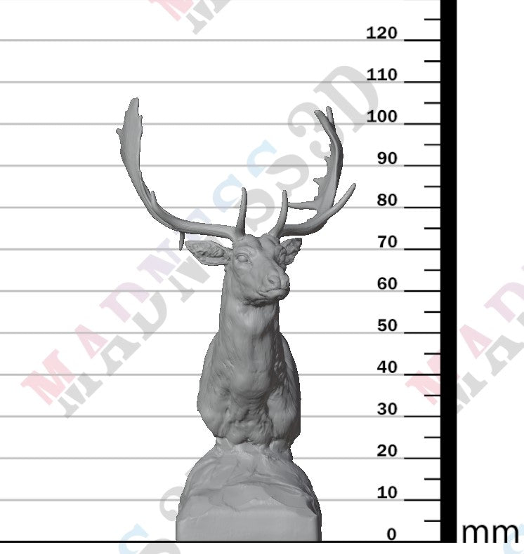 European Fallow Deer 1:12 - Bust