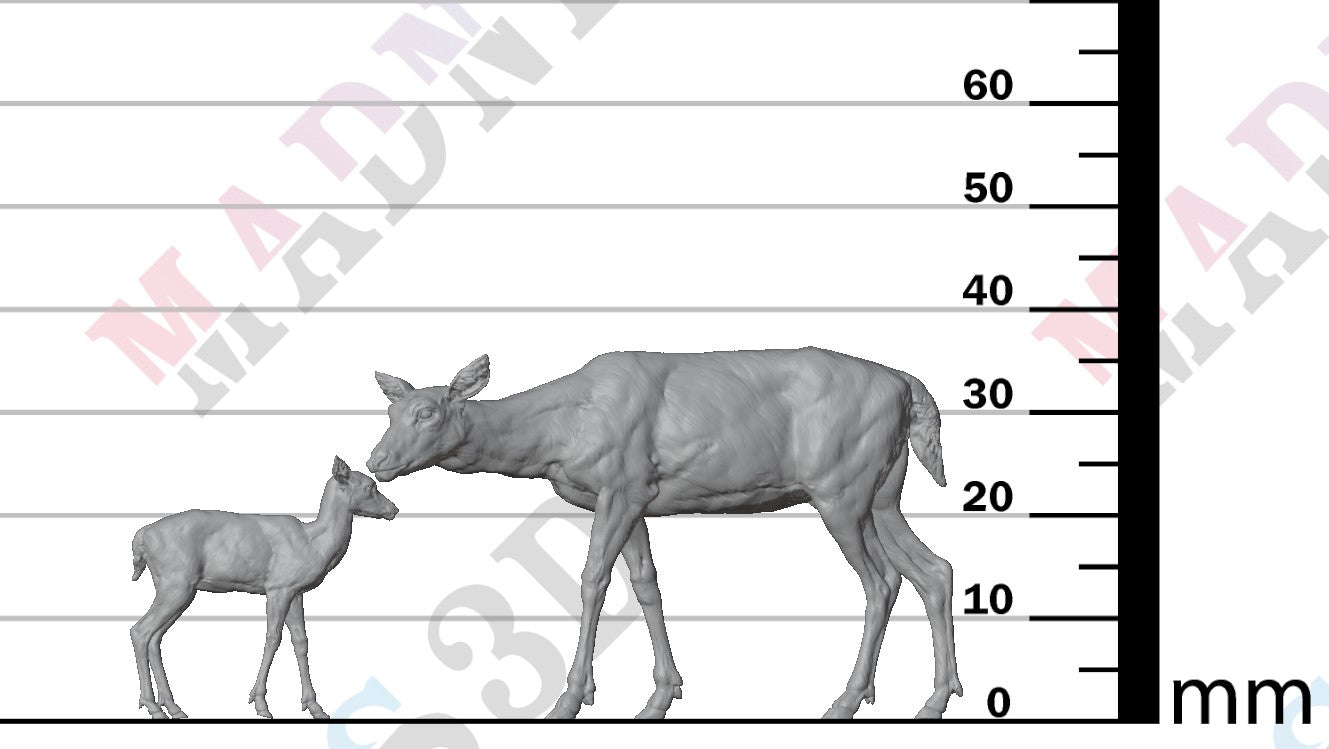European Fallow Doe and Fawn 1:24