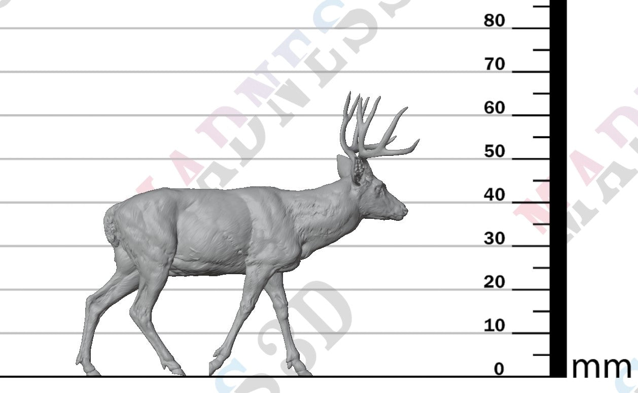 Mule Deer 1:24
