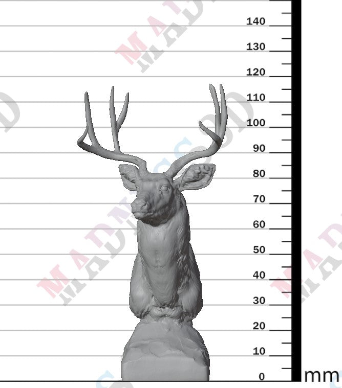 Mule Deer 1:12 - Bust