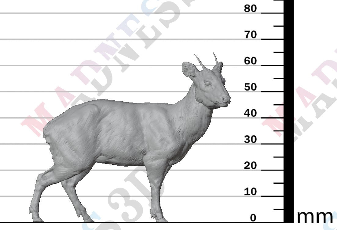 Pudu Deer 1:8
