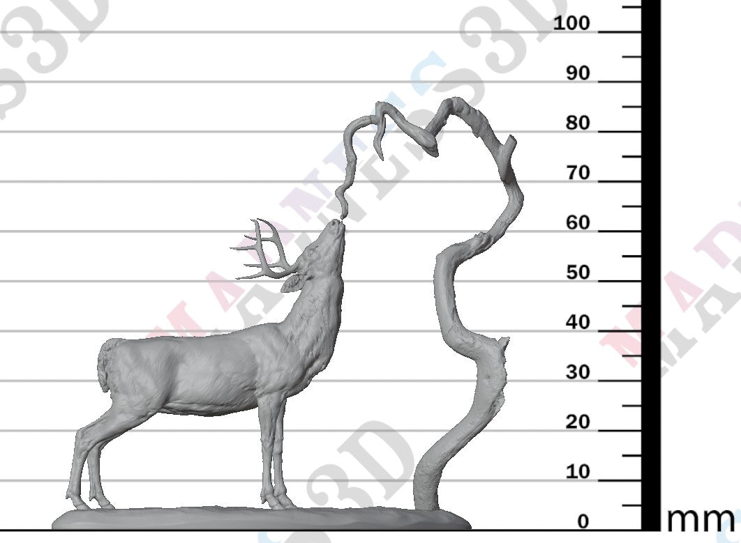 White Tailed Deer Feed 1:24