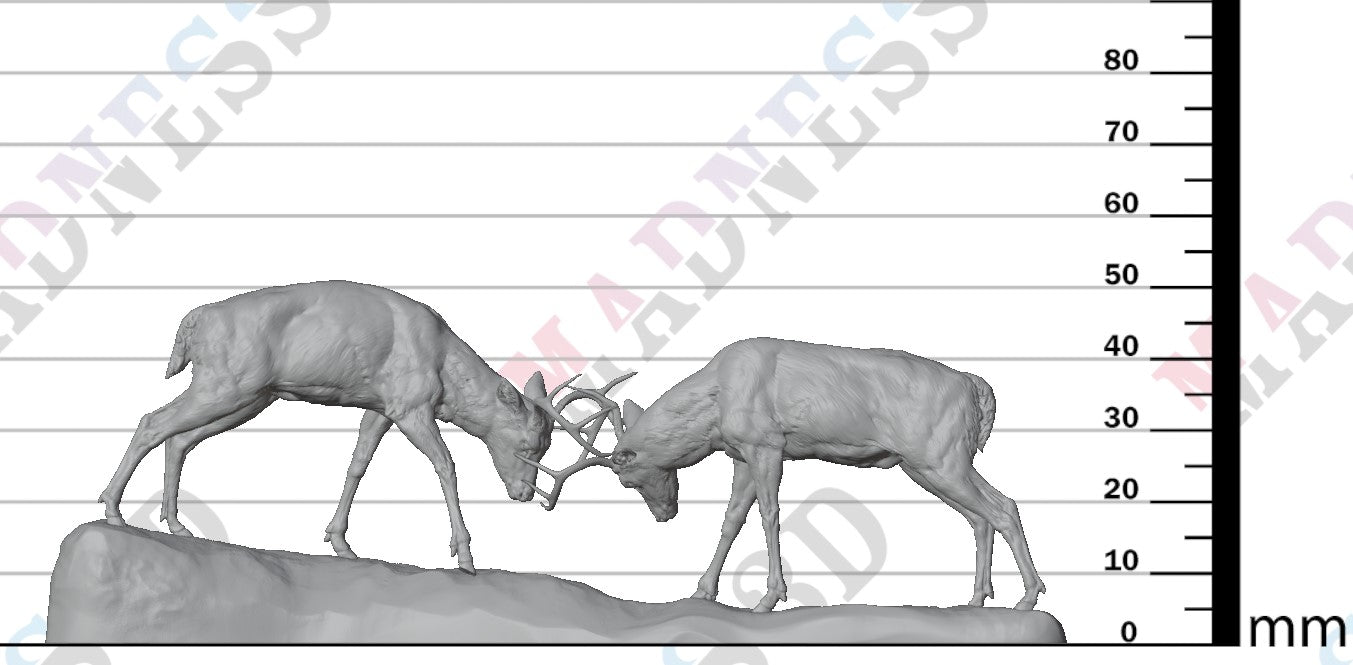 White Tailed Deer Fight 1:24