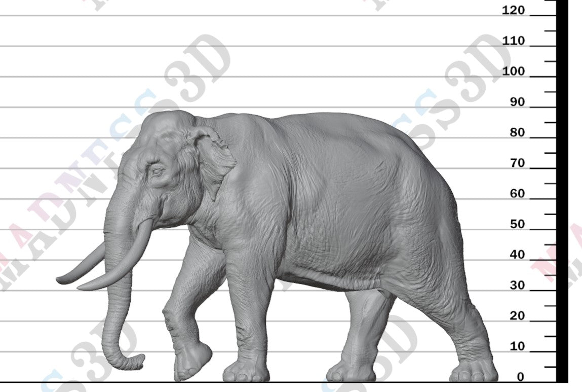 Indian Elephant Bull 1:32
