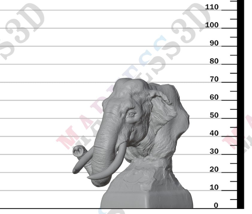 Indian Elephant 1:32 - Bust
