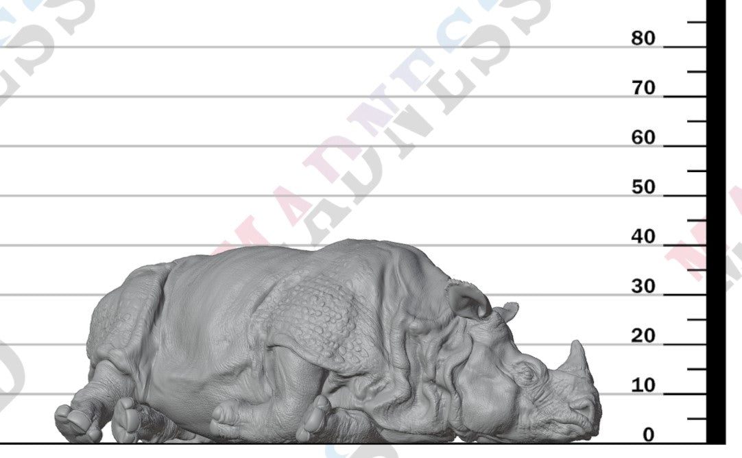 Indian Rhino Lying 1:32