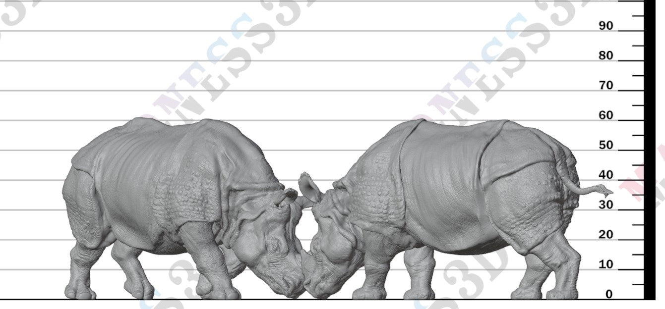Indian Rhino Fighting 1:32