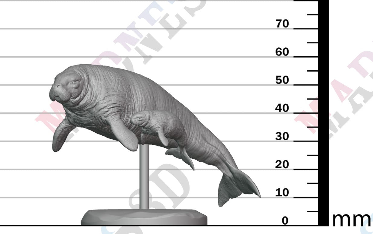 Stellar Sea Cow and Calf 1:100
