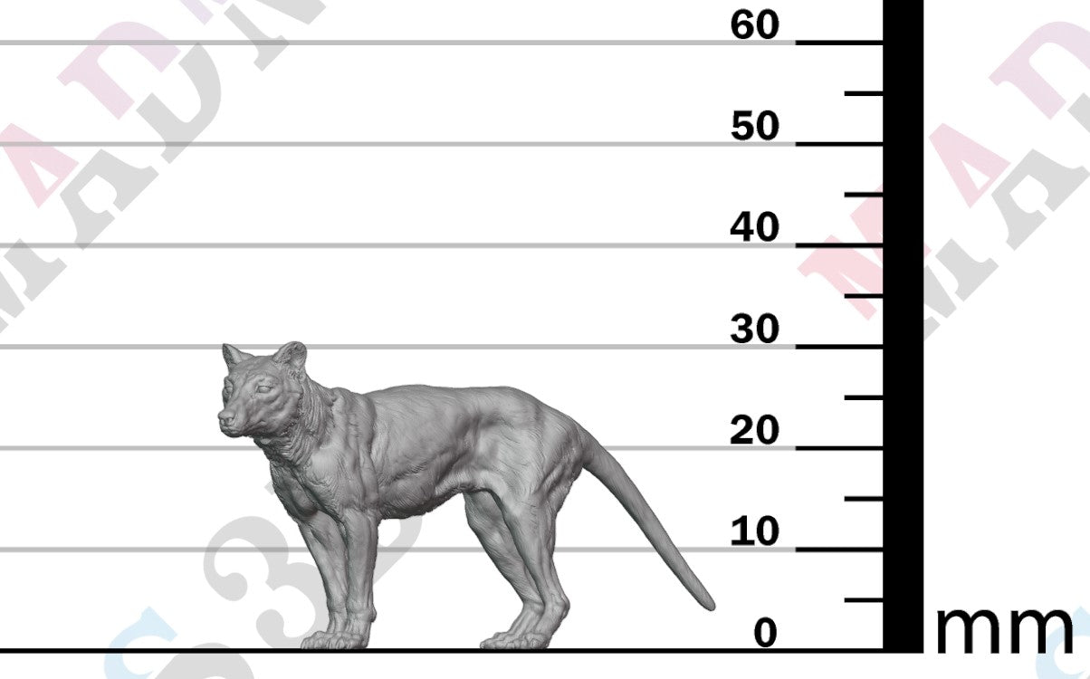 Thylacine 1:24