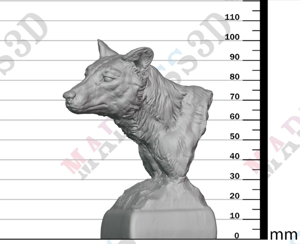 Thylacine - Bust 1:6