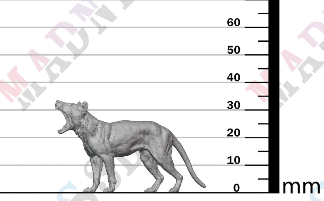 Thylacine - Yawn 1:24