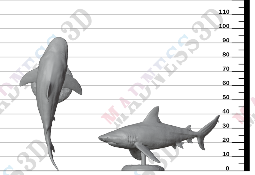 Bull Shark 1:32