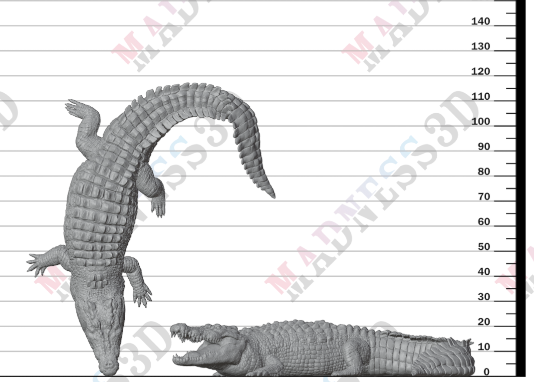 Saltwater Crocodile 1:32