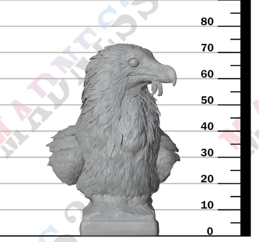 Bearded Vulture Bust 1:6
