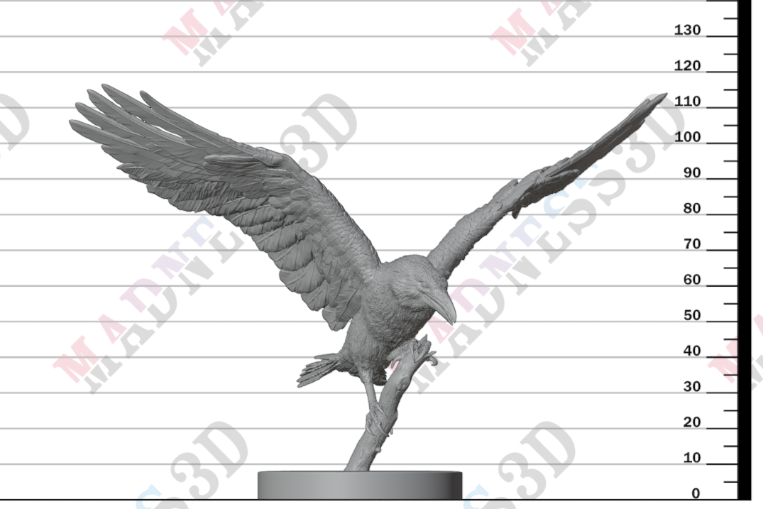 Common Raven Landing 1:6
